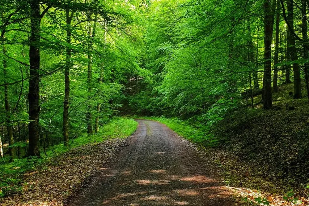 Correre in primavera: percorsi esclusivi in Italia e all’estero